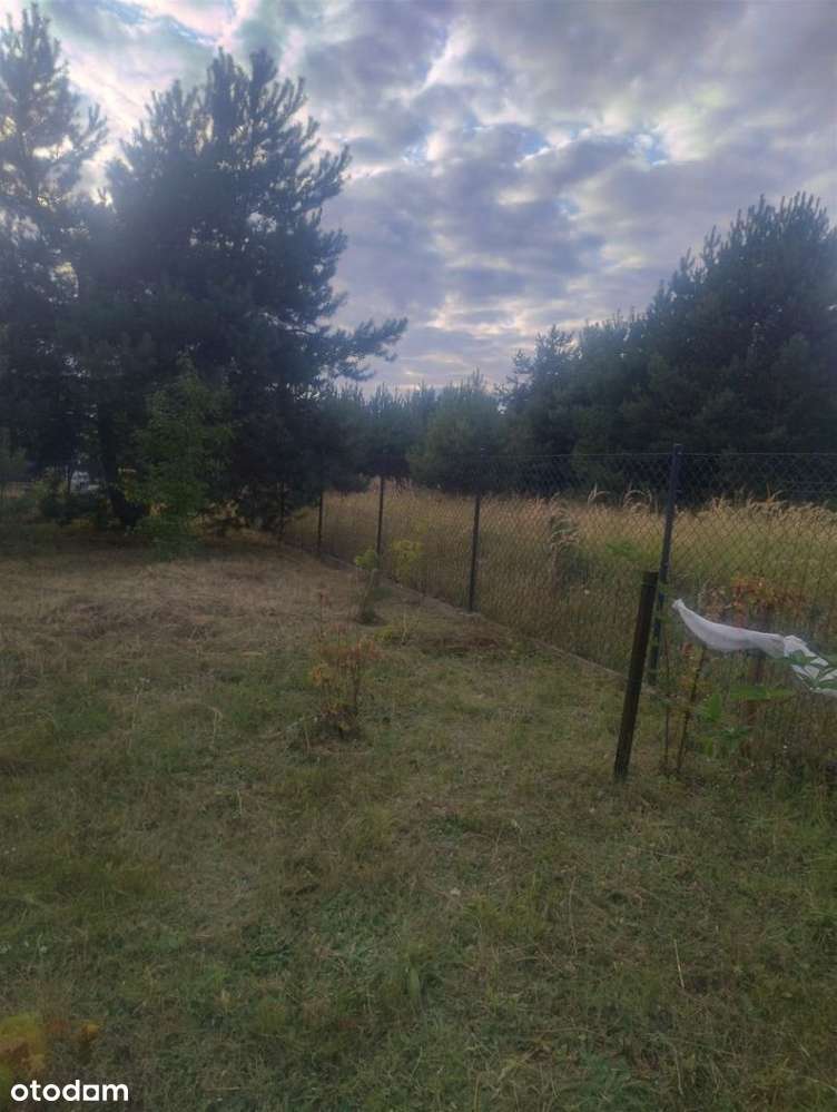 Piękna działka w Rakowni Gmina Murowana Goślina-9