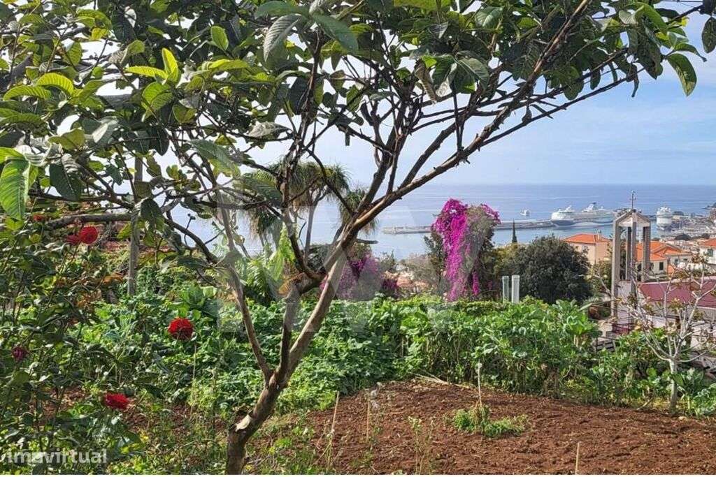 Terreno com armazém em ruína inseridos na Quinta da Boa Vista - Grande imagem: 4/12