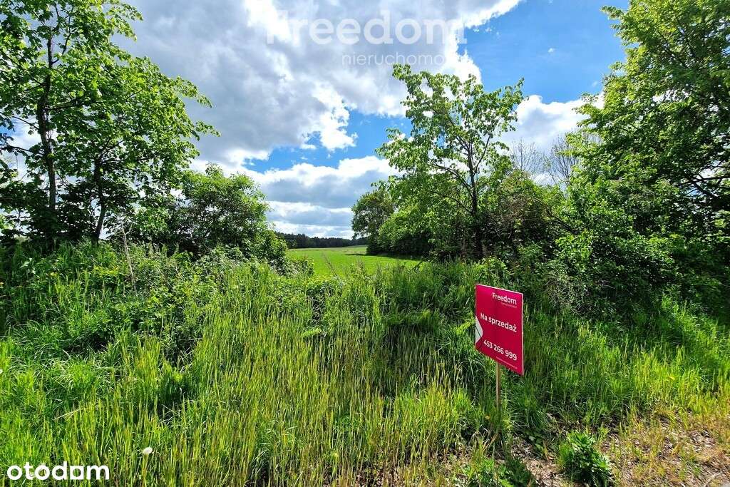 Działka w Borsukach 0,48 ha nieopodal rzeki Bug - Pełny obrazek: 4/7