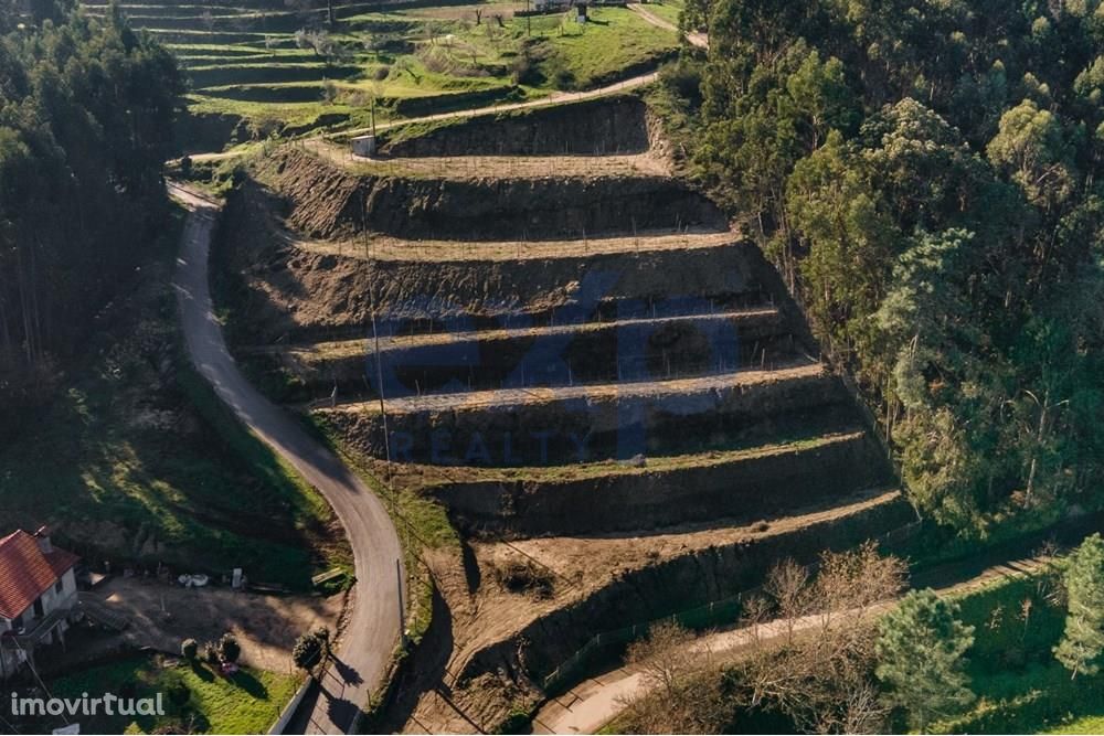 Terreno com Vinha, 0.5ha, Água e Anexo, Ponte de Lima