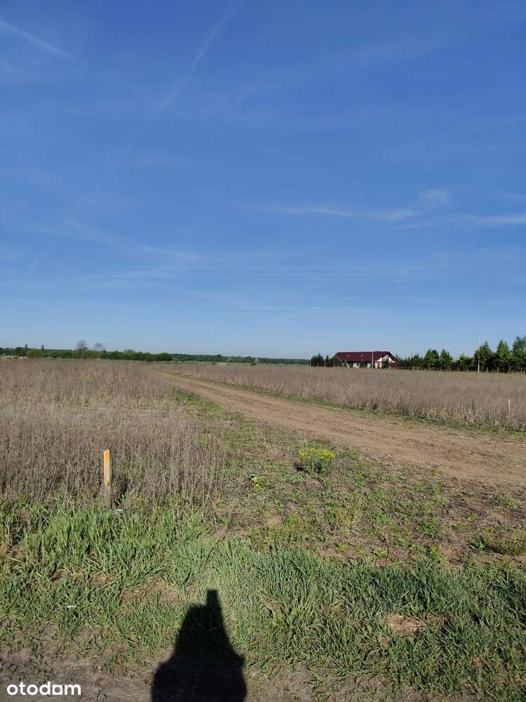 Sprzedam działki budowlane w Przybyszewie - Pełny obrazek: 5/8