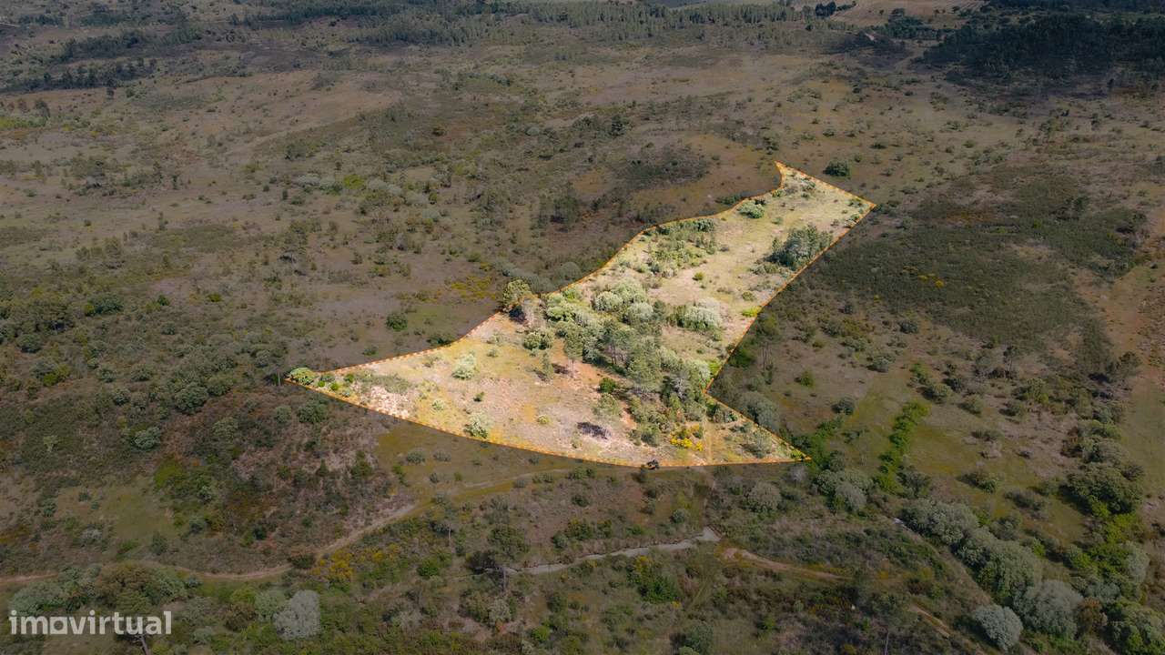 Terreno Rústico  Venda em Sarzedas,Castelo Branco - Grande imagem: 5/19