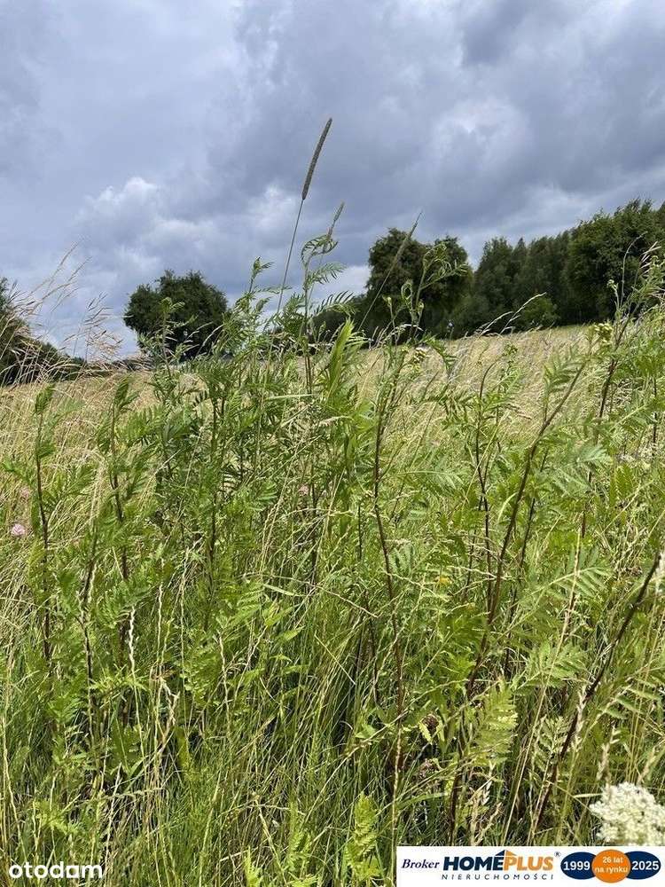 Działka 10 244 m² zabudowa mieszkaniowa i usługi - Pełny obrazek: 4/6