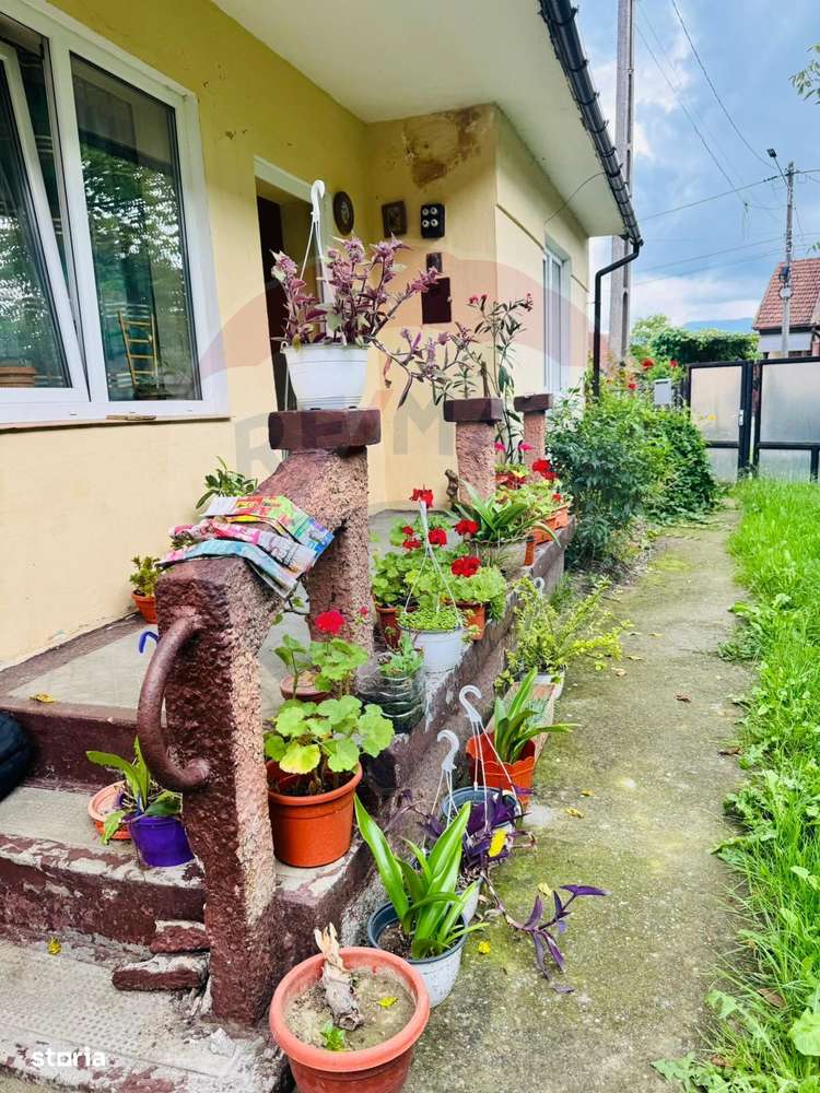 Casă / Vilă cu 3 camere de vânzare - Imagine principală: 4/10