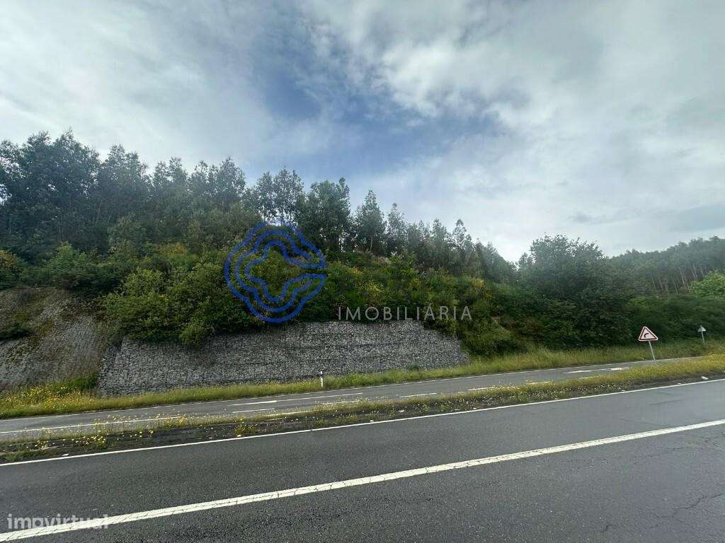 Terreno | Frades | 4907 m2 - Grande imagem: 5/6