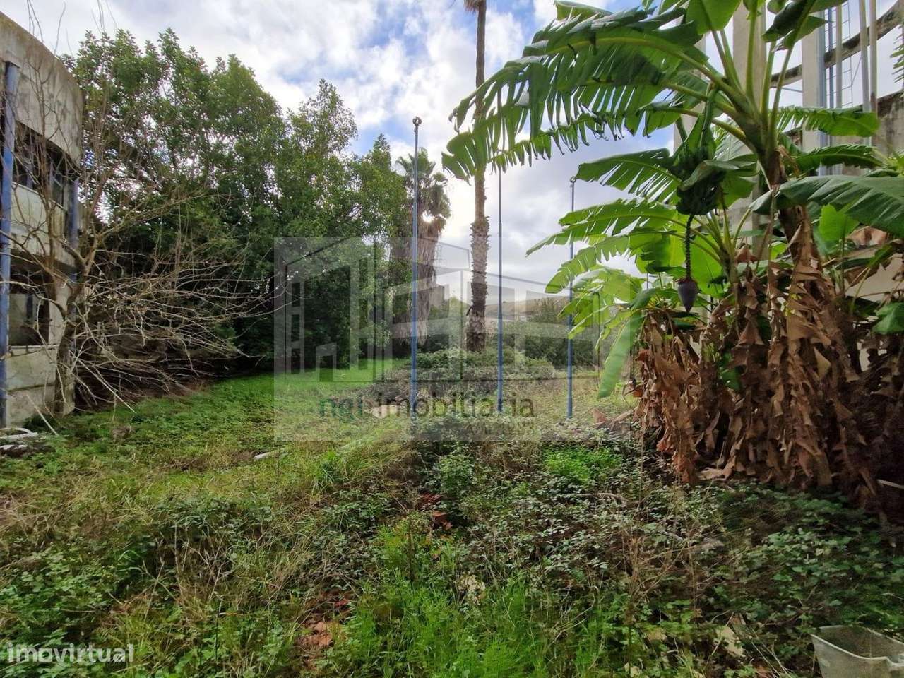 Armazém - Amadora - Grande imagem: 5/12