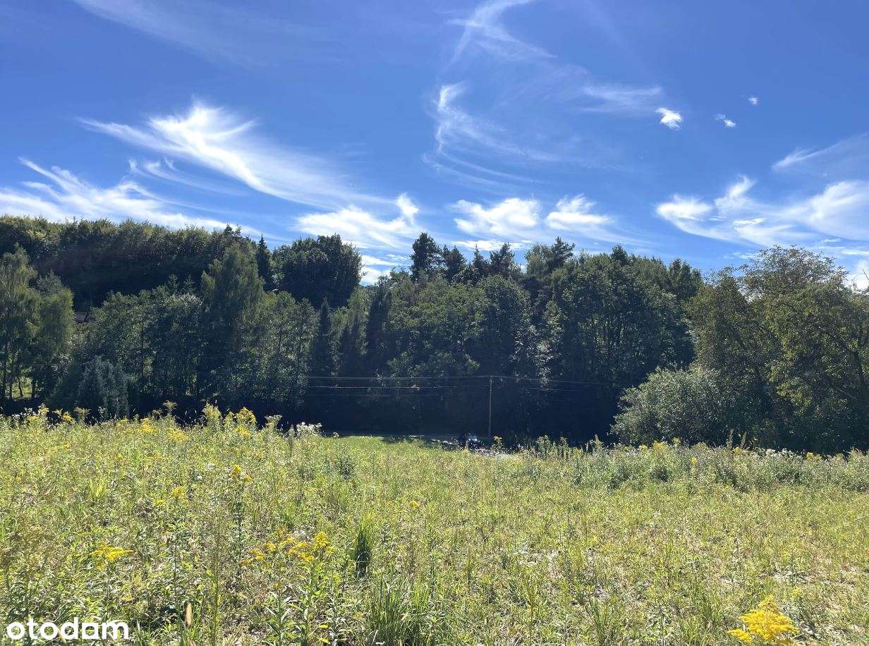 Działka, 2 151 m², Michałowice-8