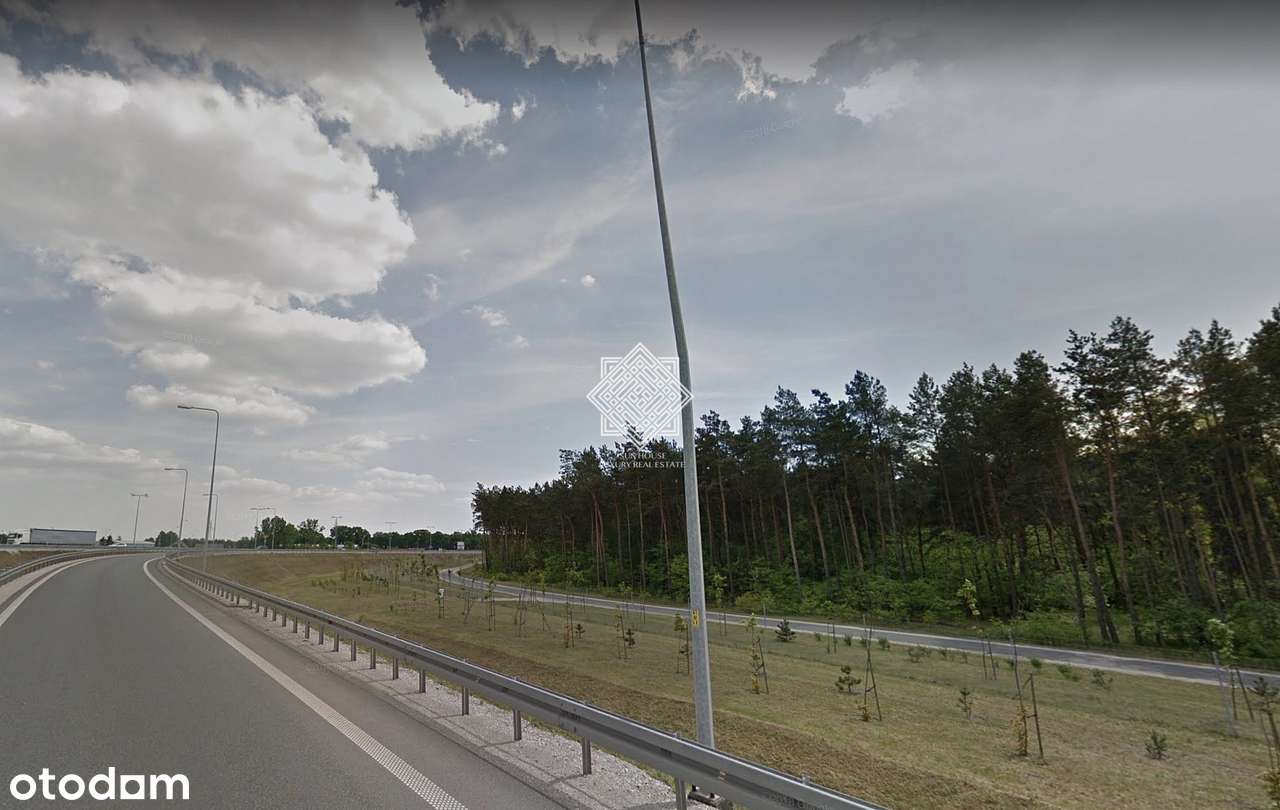 Działka Leśna Kuczek - Pełny obrazek: 5/13