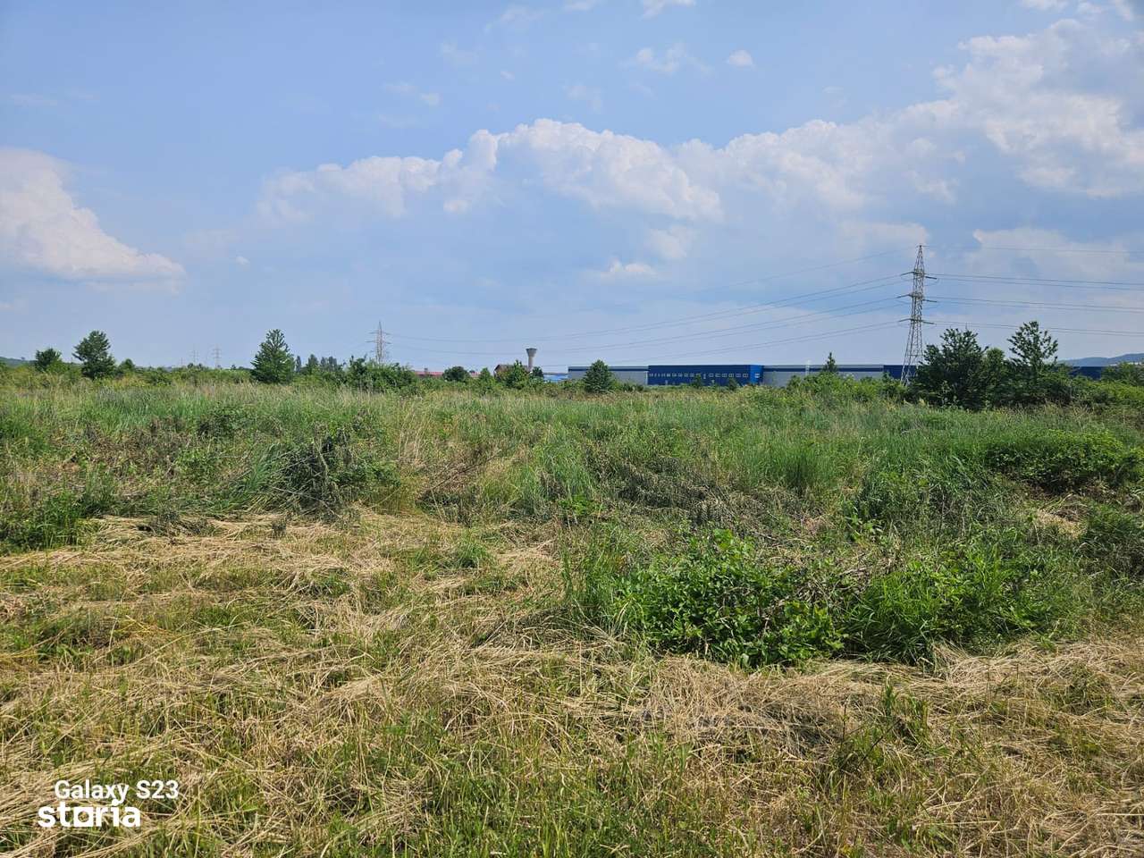 Teren, 10 000 m²,  - Imagine principală: 4/5