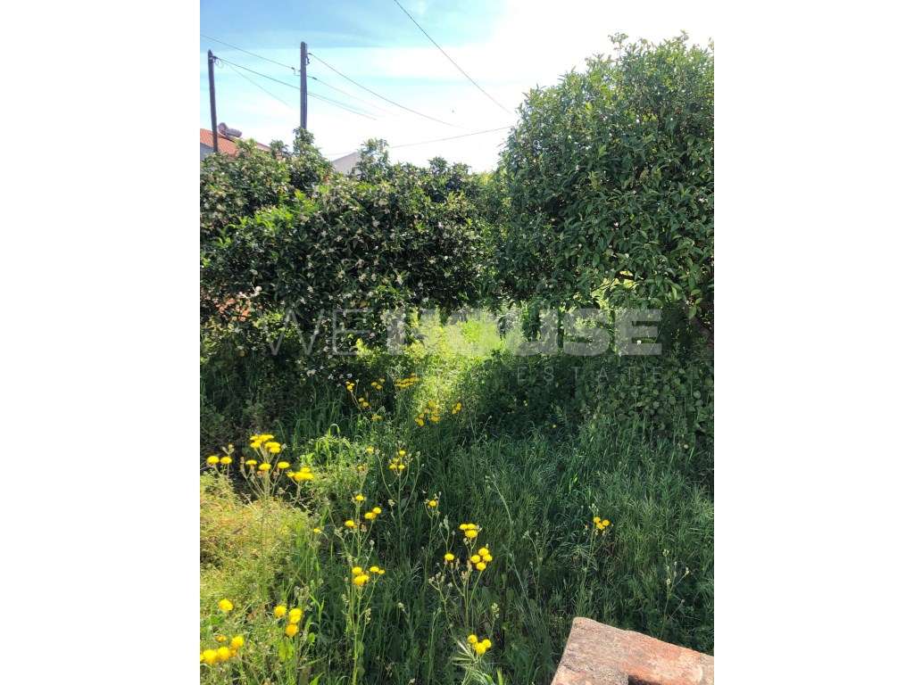 Terreno para Construção na Vila da Vidigueira - Oportunidade Única!-11
