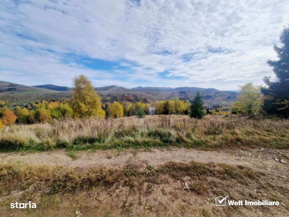 Teren de vanzare – Muntele Baisorii, 1000 mp, vedere spre rezervatia - Imagine principală: 2/9