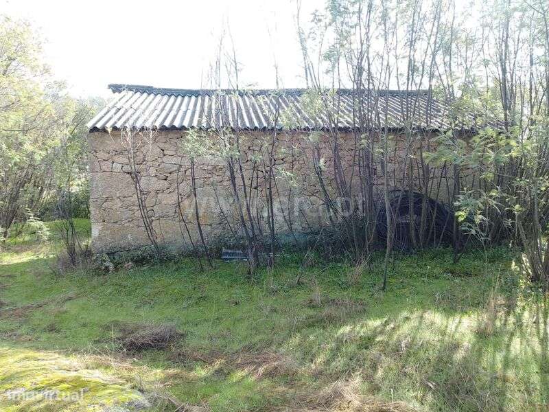 Quinta Estúdio / Covilhã, Orjais - Grande imagem: 5/16