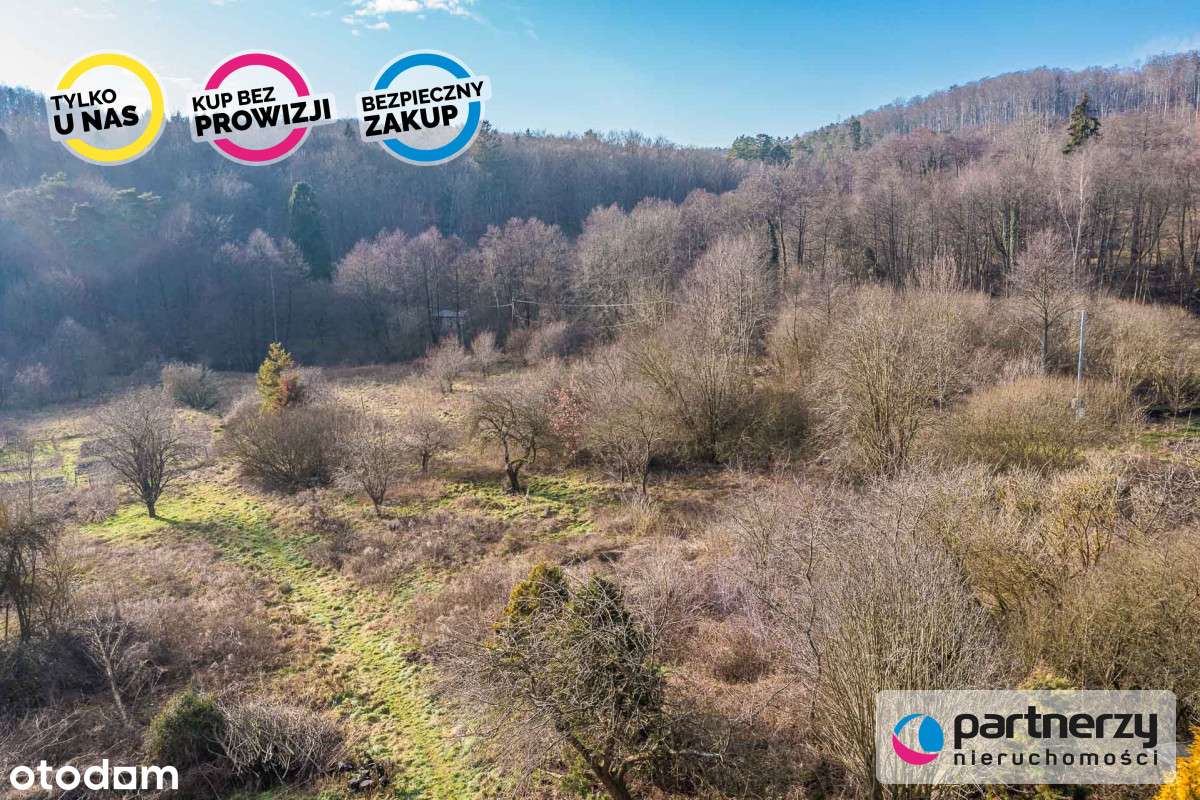 Wyjątkowa Działka w Gdyni, las, rzeka, spokój - Pełny obrazek: 5/20