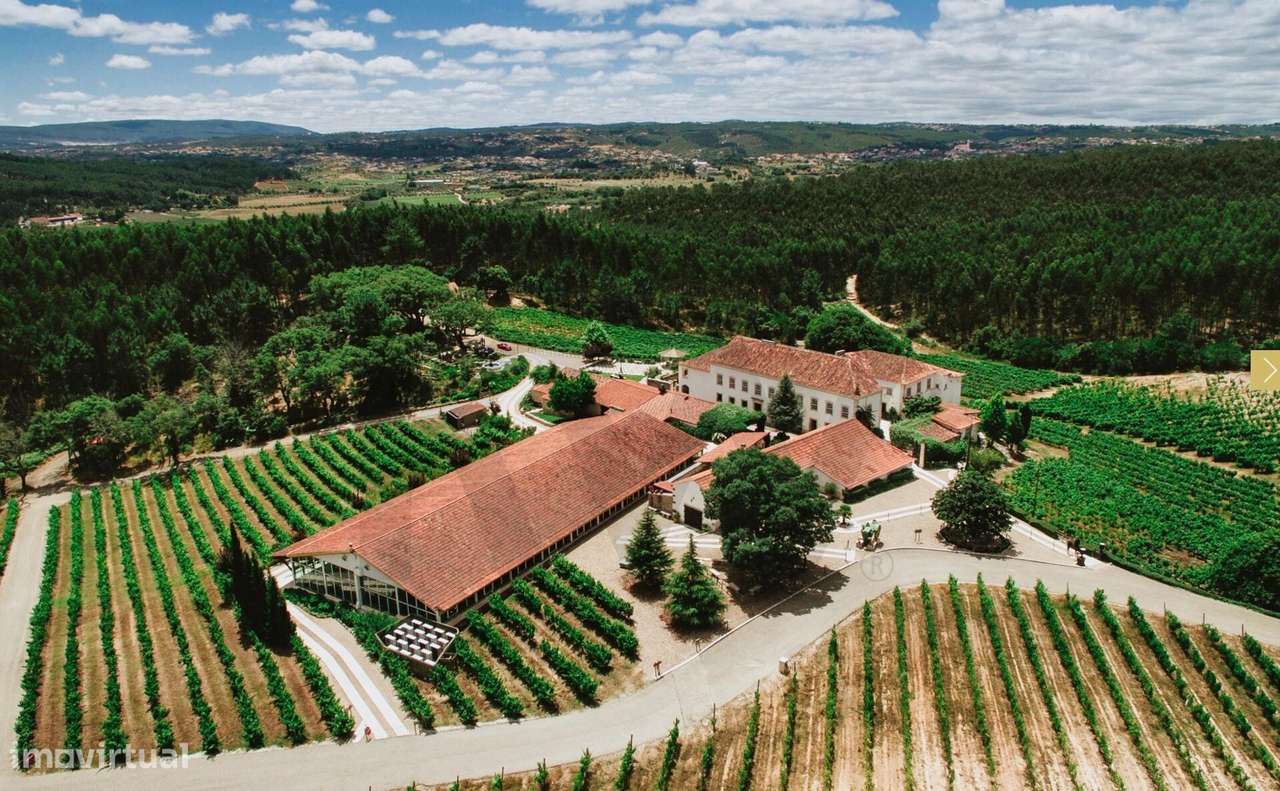 Quinta de Exceção em Ourém – 69 Hectares | Casa Senhorial do Séc. XVII - Grande imagem: 2/60