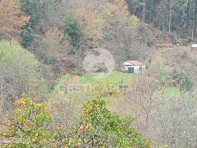 Oportunidade Única: Quinta para Habitação, Turismo ou Agricultura em M-29