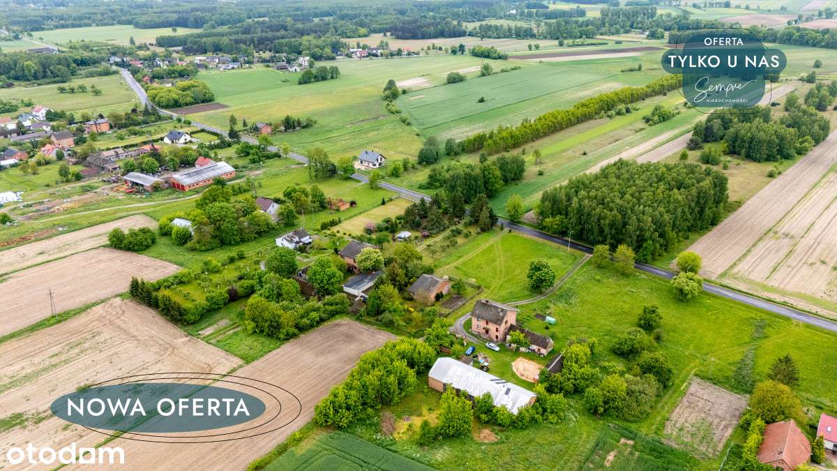 Wymarzone miejsce do życia. Dom do remontu - Pełny obrazek: 4/20