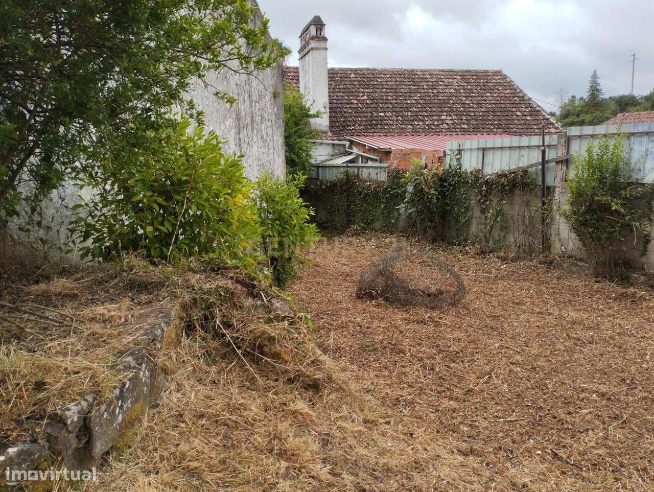 Prédio Misto com 1.834m² em Almoster – Com Adega, Terreno, Poço e Tanq - Grande imagem: 3/15