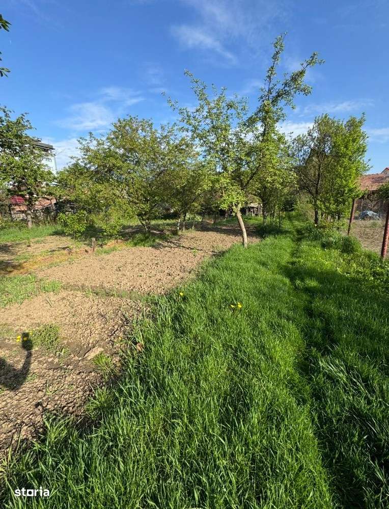 Casa 3 camere , 500 mp teren , zona C.R.Vivu-8