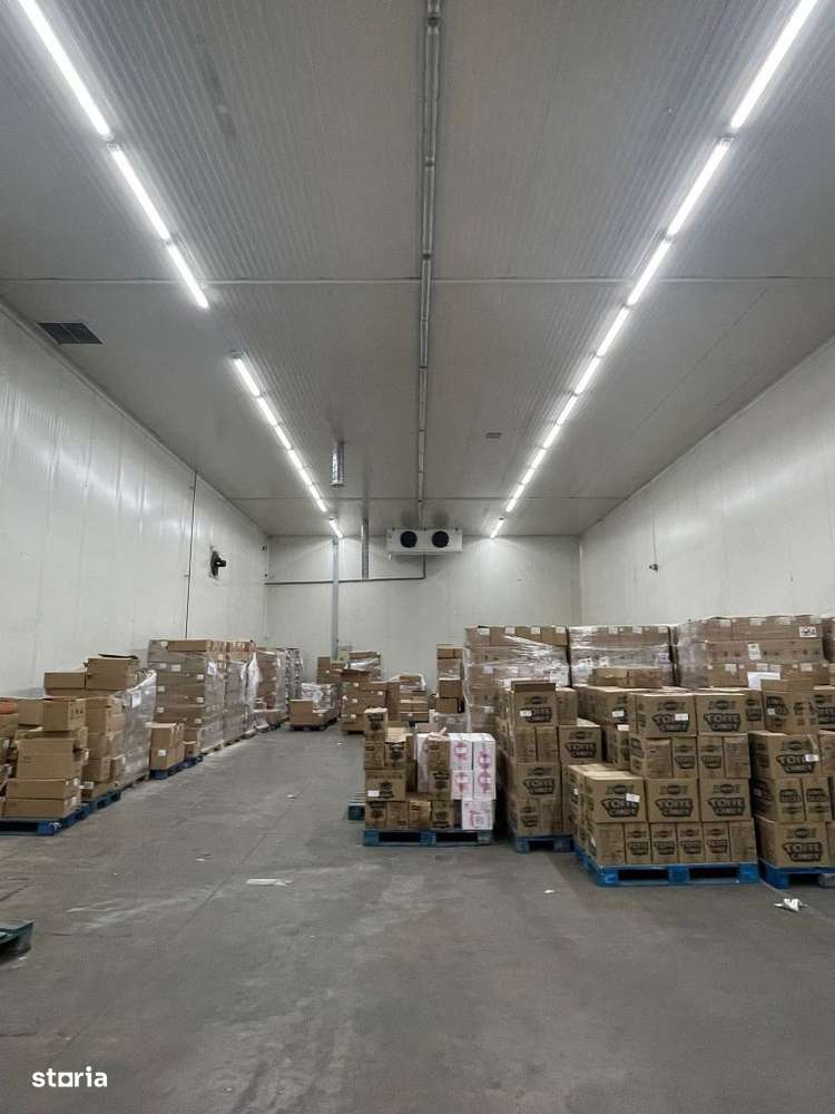 Depozit temperatura controlata Afumati (Fructe/Legume) - Imagine principală: 5/8