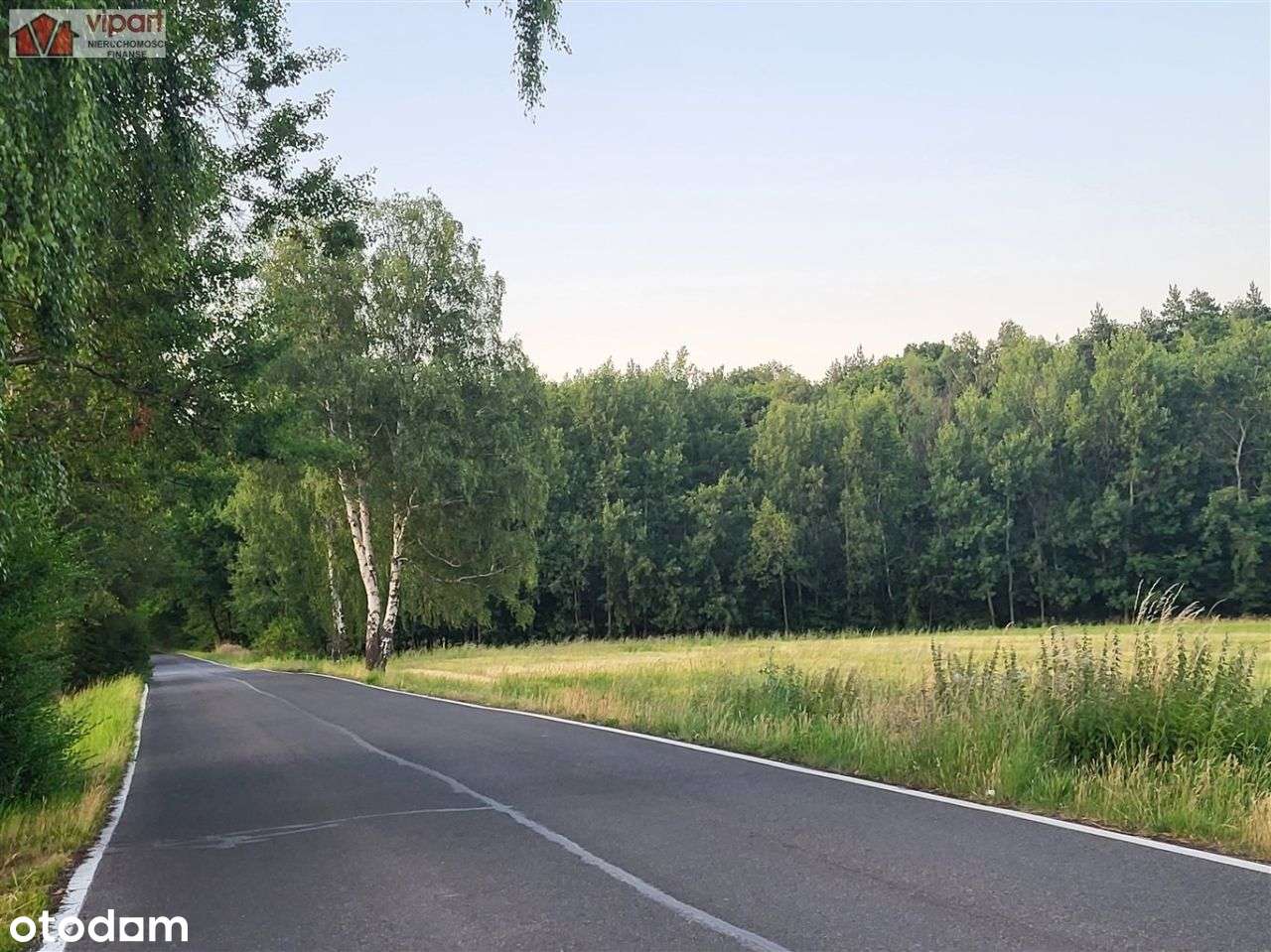 Działka, 17 729 m², Tychy-2