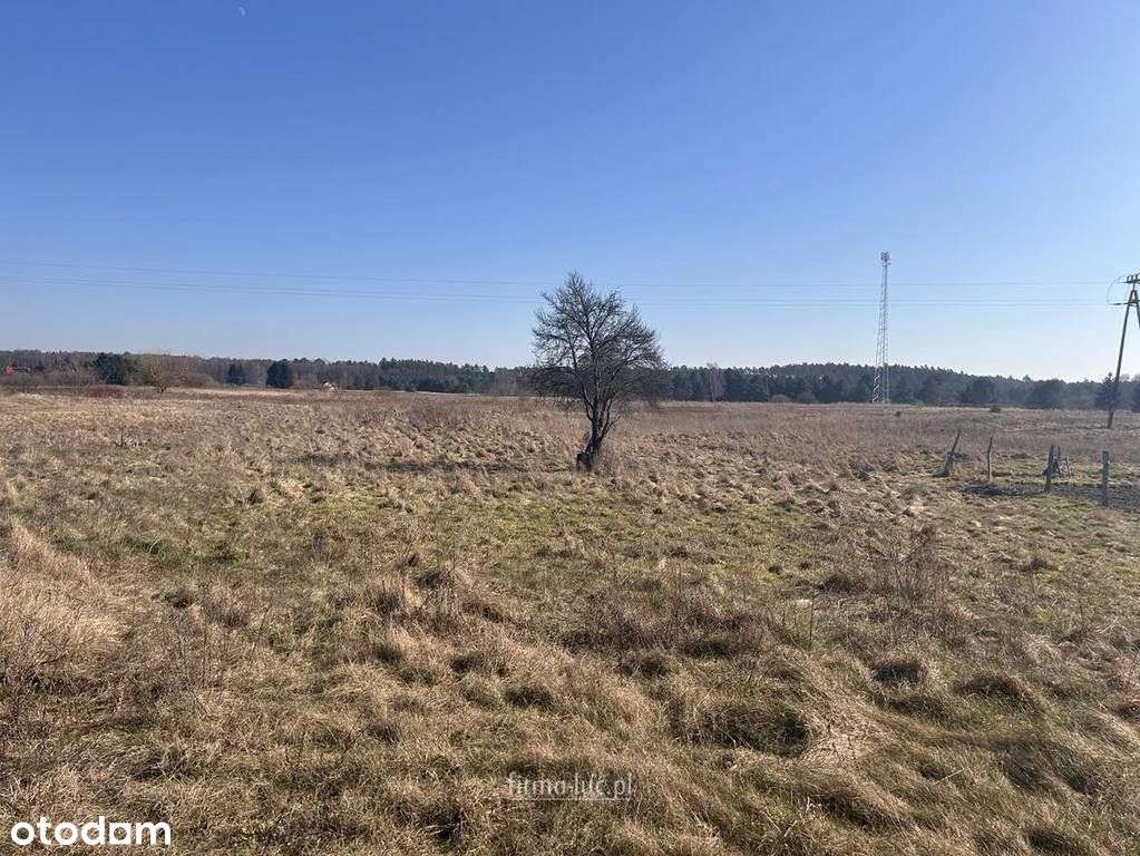 Działa rolna, Łośno, mpzp - Pełny obrazek: 4/5