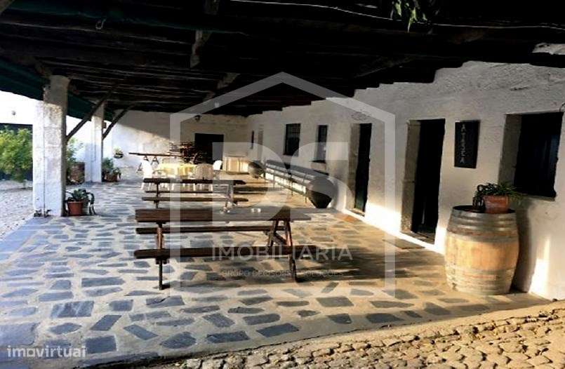 Douro Vinhateiro, Quinta Turística-32