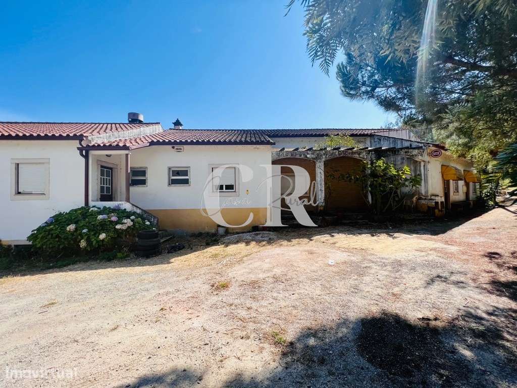 Restaurante em Ribeira de Alge - Figueiró Dos Vinhos - Grande imagem: 3/42