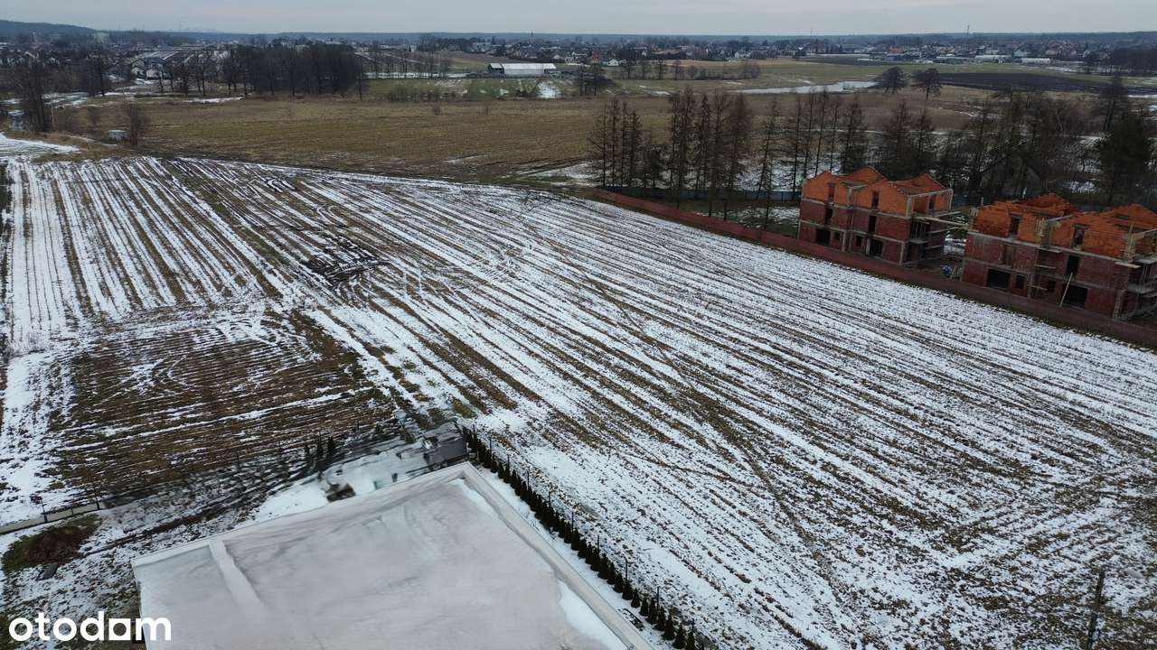 OKAZJA, działka RUDZICZKA 5594 m2, zabudowa jednorodzinna,-1