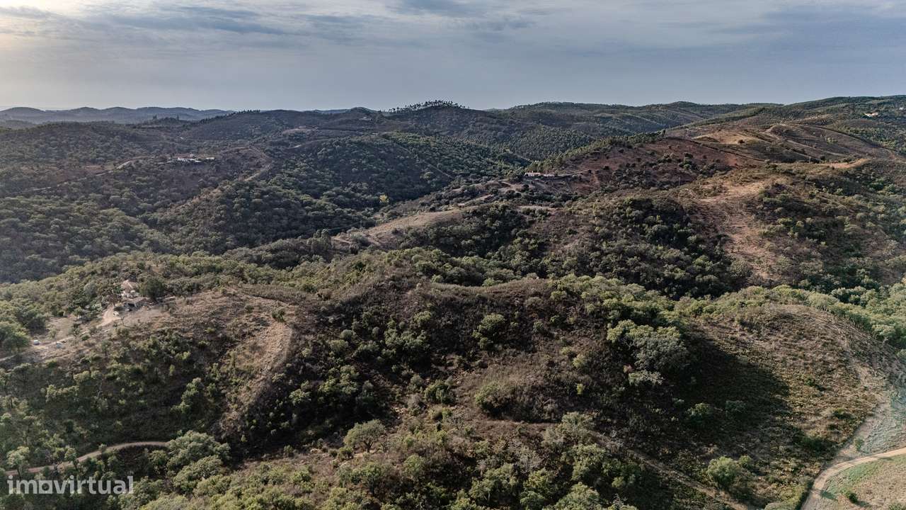 QUINTA | PARA VENDA | ALENTEJO | ODEMIRA-15