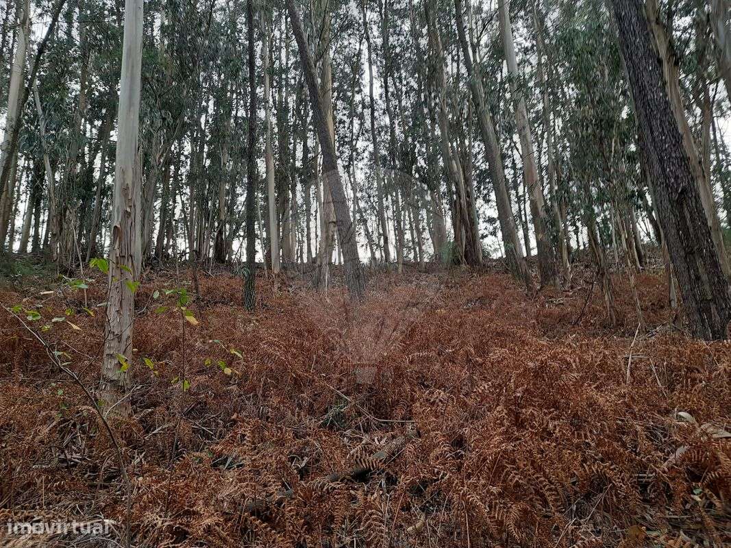 Terreno  para venda - Grande imagem: 3/4