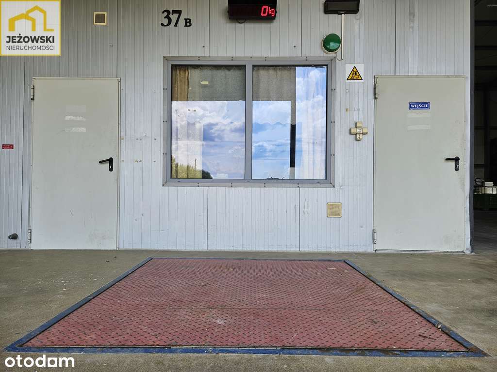 Budynek produkcyjno-biurowy/hala 660mkw z chłodnią - Pełny obrazek: 5/20