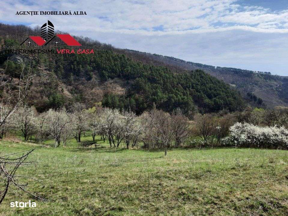 Teren intravilan 13698 mt  de vanzare Inuri Jud Alba - Imagine principală: 5/19