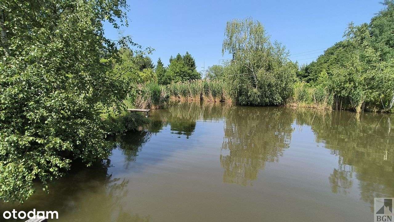 Działka budowlana ze stawem Oborniki Śląskie.-4