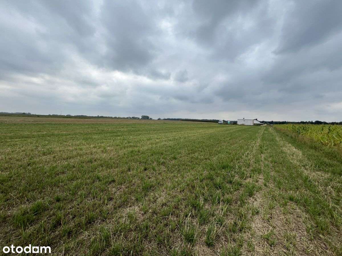 Działka budowlana Zdrój gm. Grodzisk Wlkp - Pełny obrazek: 4/6