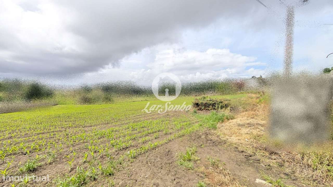 Terreno à Venda na Junqueira - Grande imagem: 2/18