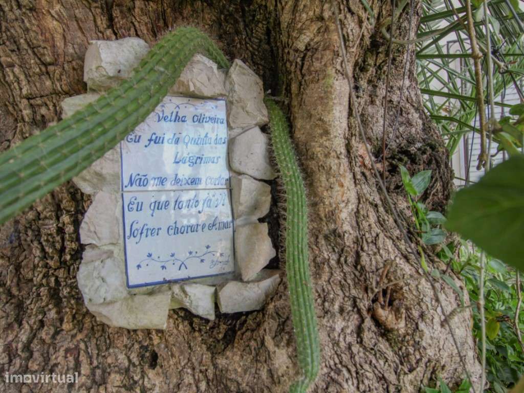 Moradia T3 em Santa Clara-25