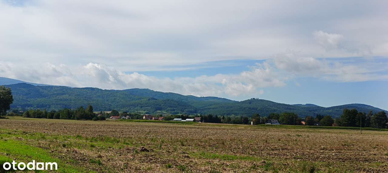 Bratoszów, działka budowlana,  9 arów - Pełny obrazek: 5/5