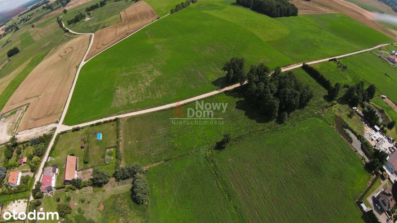 Działki Kożuchy Wielkie Z Lasem!-1