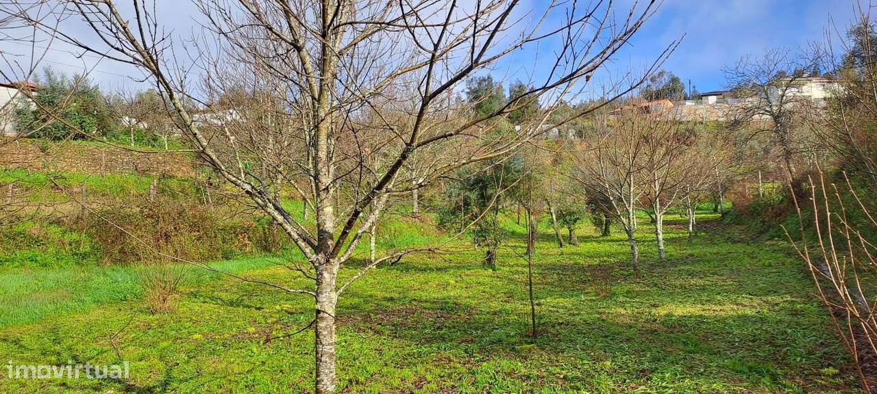 Charmosa Quinta em Castelo de Paiva-24