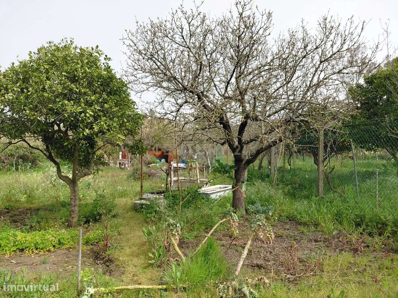 Terreno Rústico com 630m2 - Junto ao "Almada Fórum" - Grande imagem: 4/14