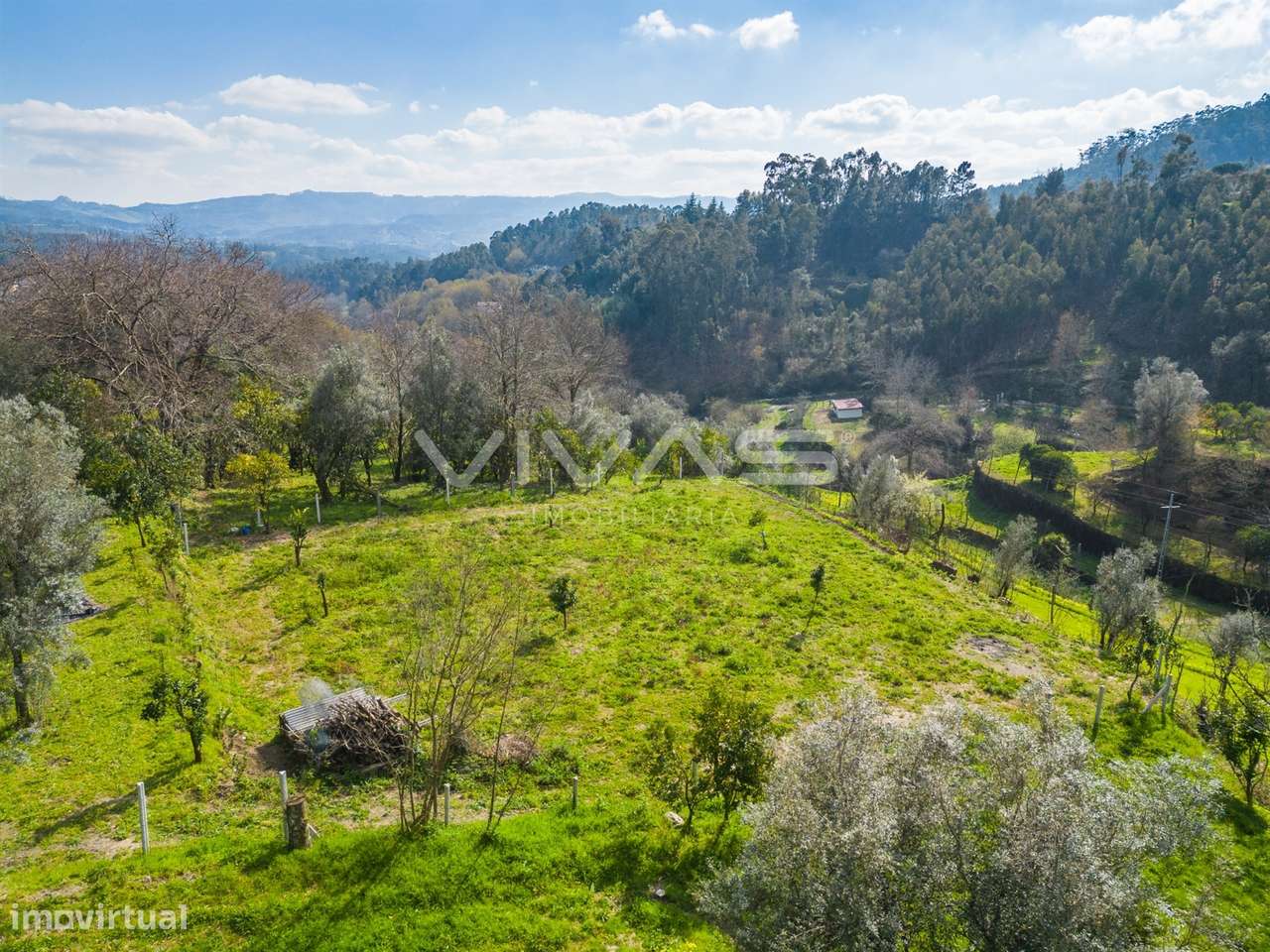 Terreno Rústico  Venda em Goães,Amares - Grande imagem: 5/29