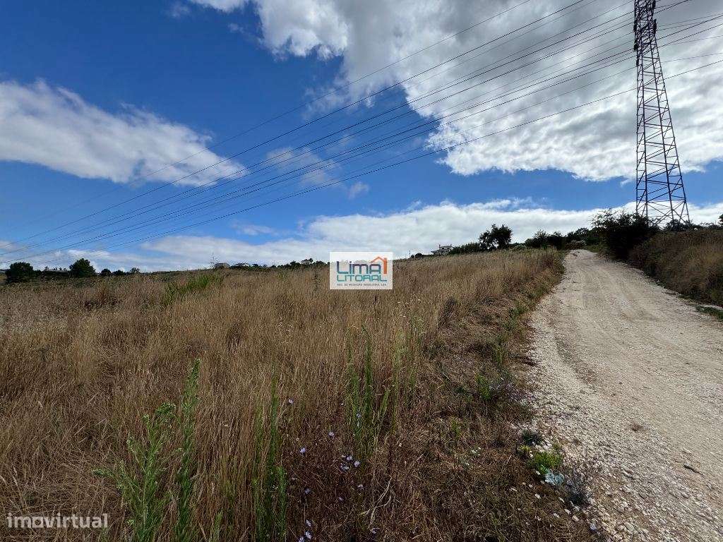 Moradia para renovar + 2 terrenos agrícolas - Batalha-23