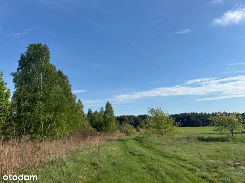 Działka pod inwestycje w pobliżu Kamiennogórskiej SSEMP!!! - Pełny obrazek: 4/11