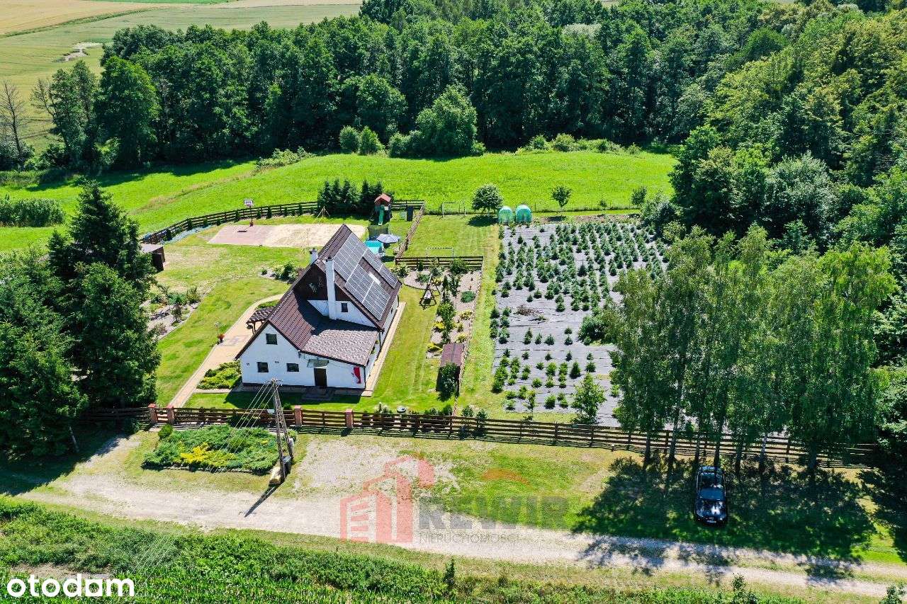 Dom w Rogajnach idealny pod agroturystykę - Pełny obrazek: 4/20