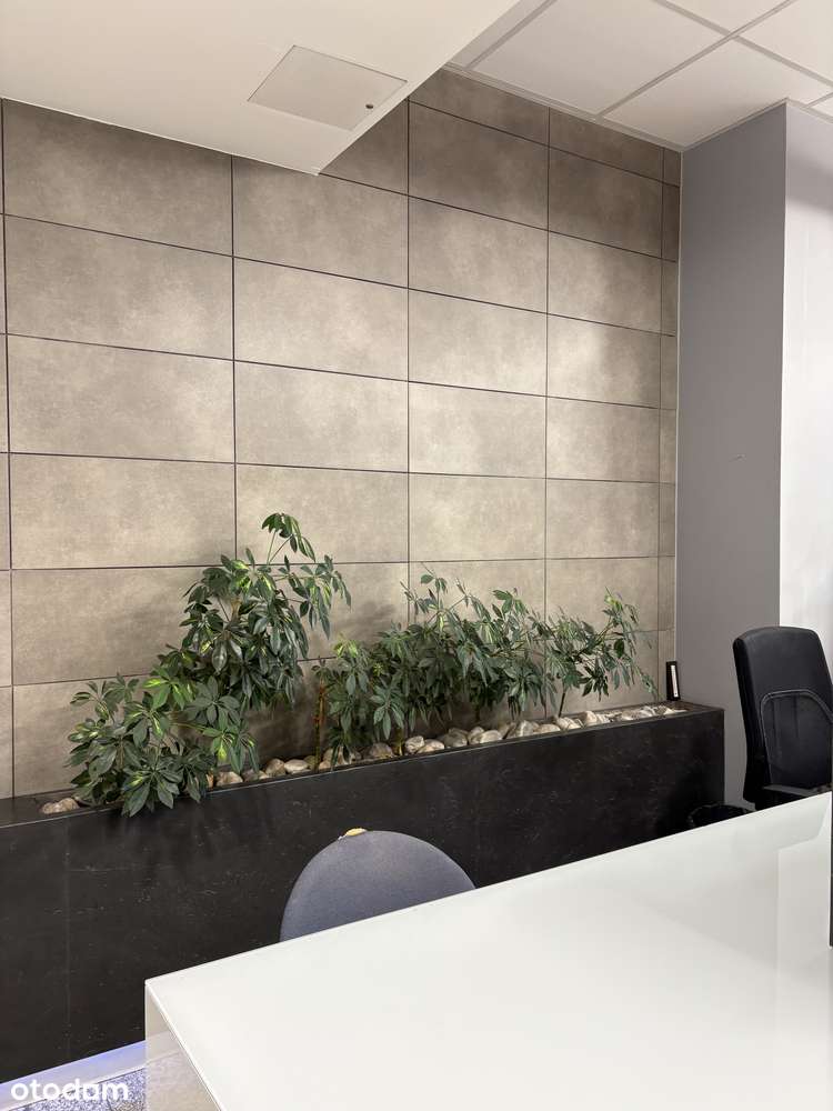 Bez prowizji! Biuro 509 m² przy autostradzie A4 | Katowice-10