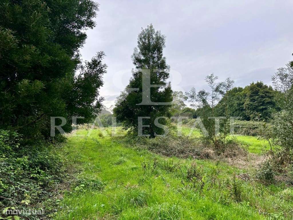 TERRENO RUSTICO 11.640m2 PENEDO, COLARES, SINTRA - Grande imagem: 4/16