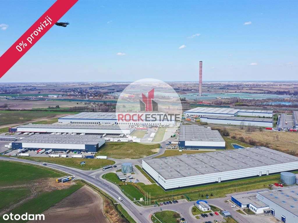 Magazyn 2441 m2 z biurem do wynajęcia - Pełny obrazek: 4/6