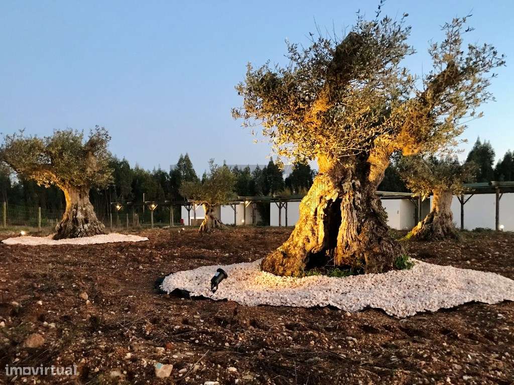 Hotel Rural para Venda na Costa Alentejana, Odemira-28