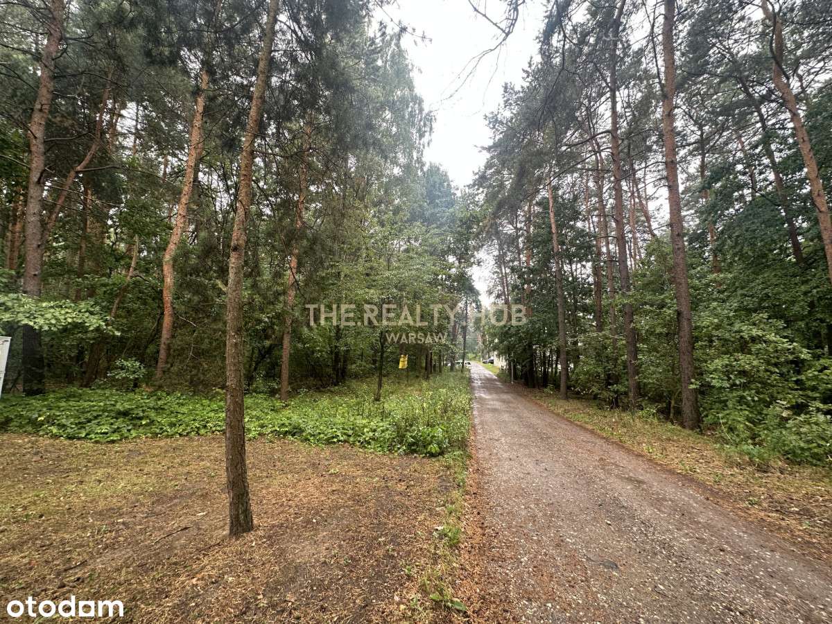 Świąteczna perełka - działka która czeka na Ciebie-1