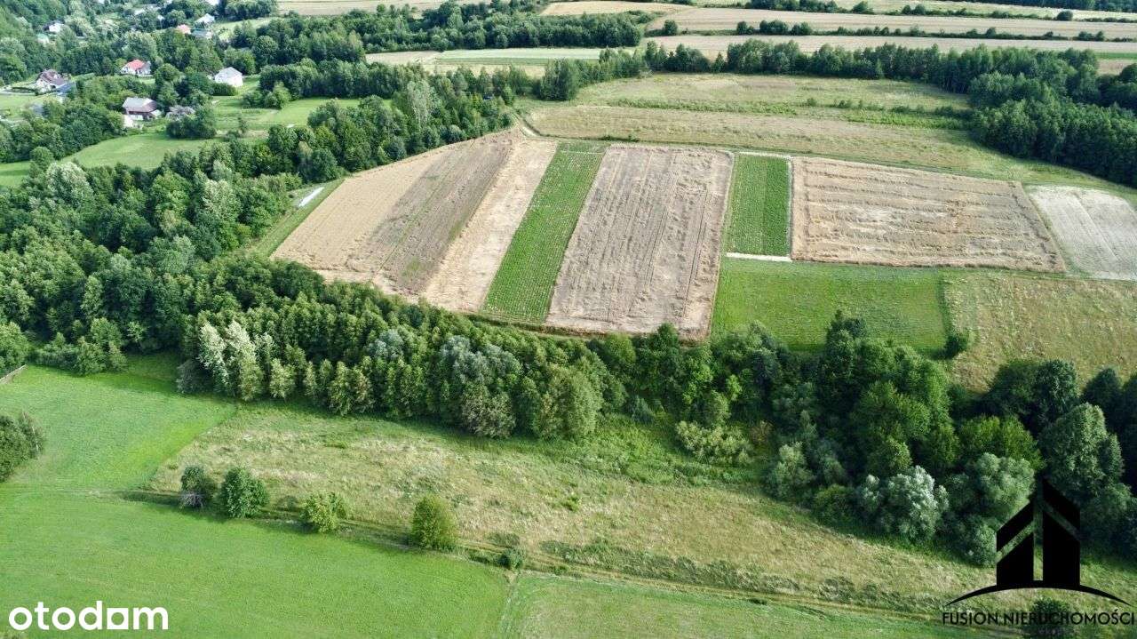 Urokliwa działka z potencjałem | 7842 m² | Łubno,-9